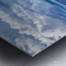 capreef43 Metal print