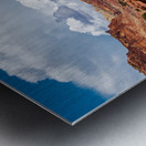 capreef31 Metal print