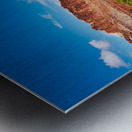 capreef47 Metal print