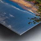 capreef53 Metal print