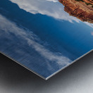 capreef32 Metal print