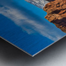 capreef54 Metal print