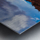 capreef49 Metal print