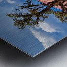 capreef42 Metal print