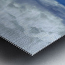 capreef40  Metal print