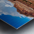 capreef33 Metal print