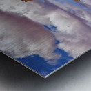 El Capitan 2 Metal print