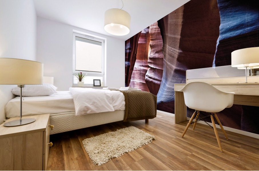 antelope06 Mural print