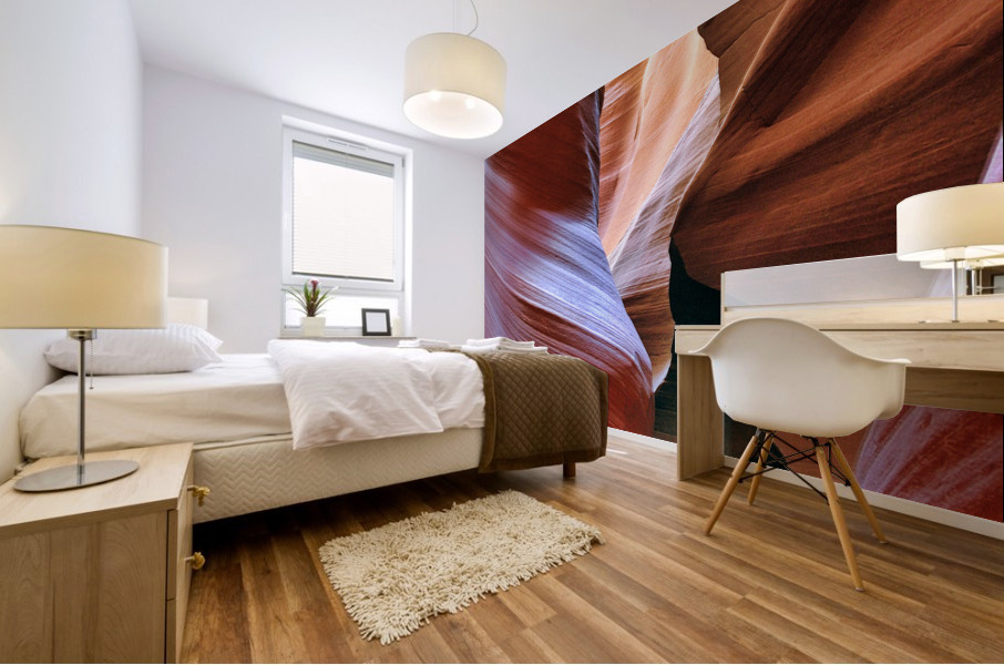 antelope12 Mural print