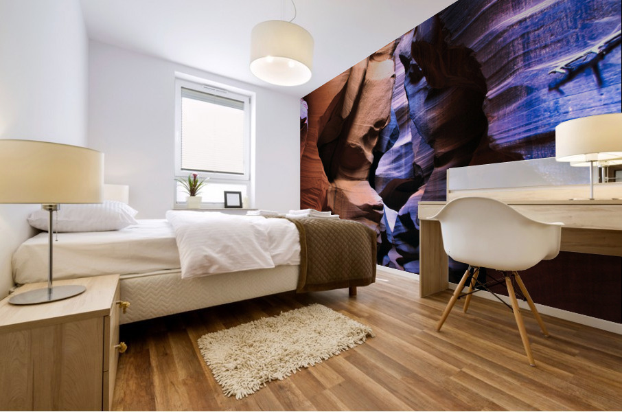 antelope19 Mural print