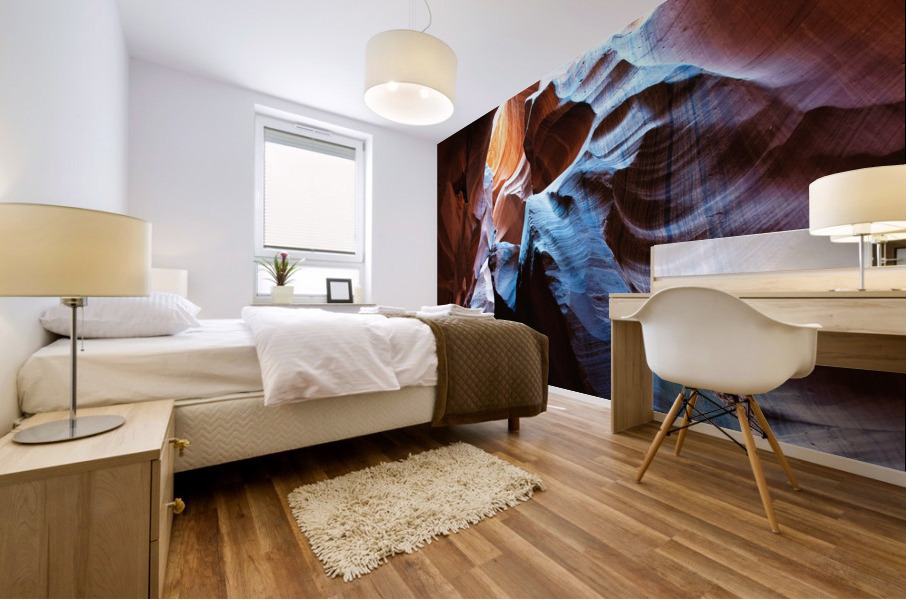 antelope02 Mural print