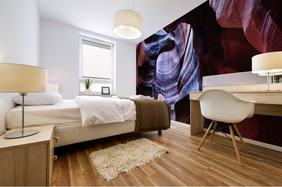 antelope07 Mural print