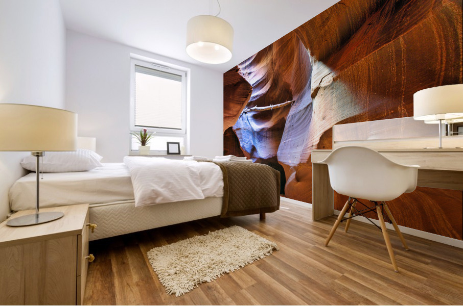 antelope18 Impression murale