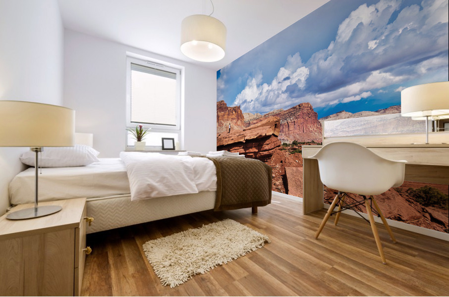 capreef38 Mural print