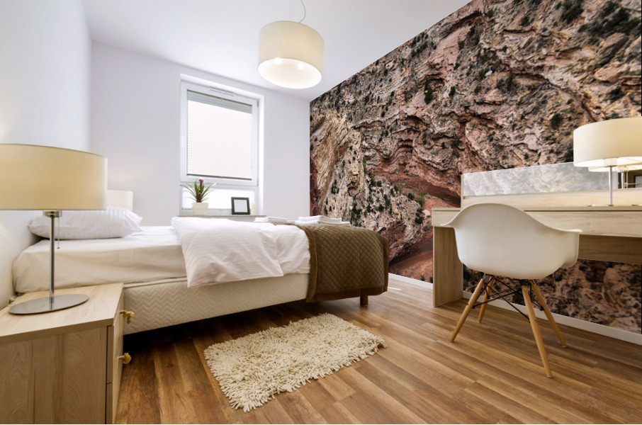 capreef48 Mural print