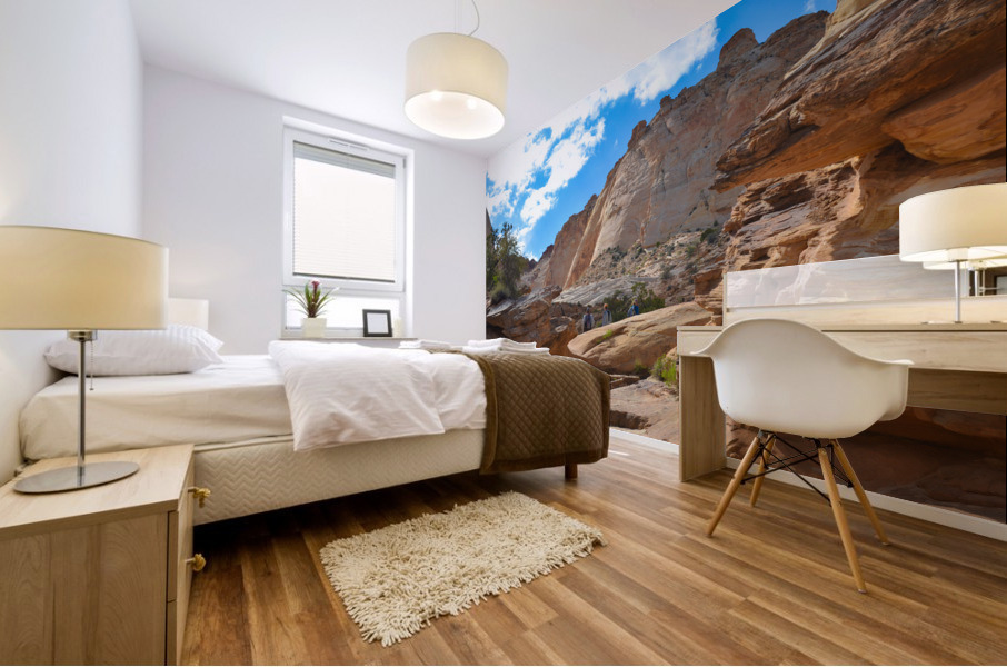 Side canyon in Grand Wash Mural print