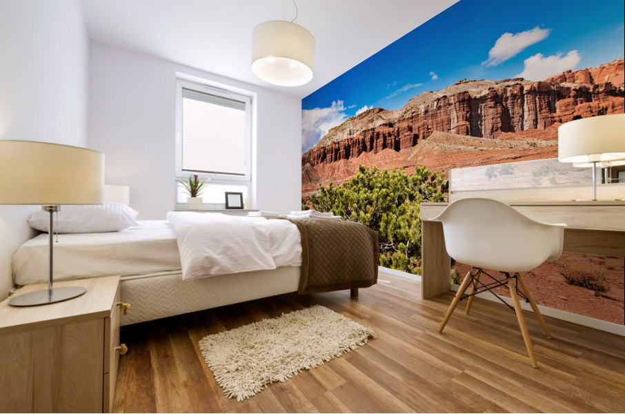 capreef46 Impression murale