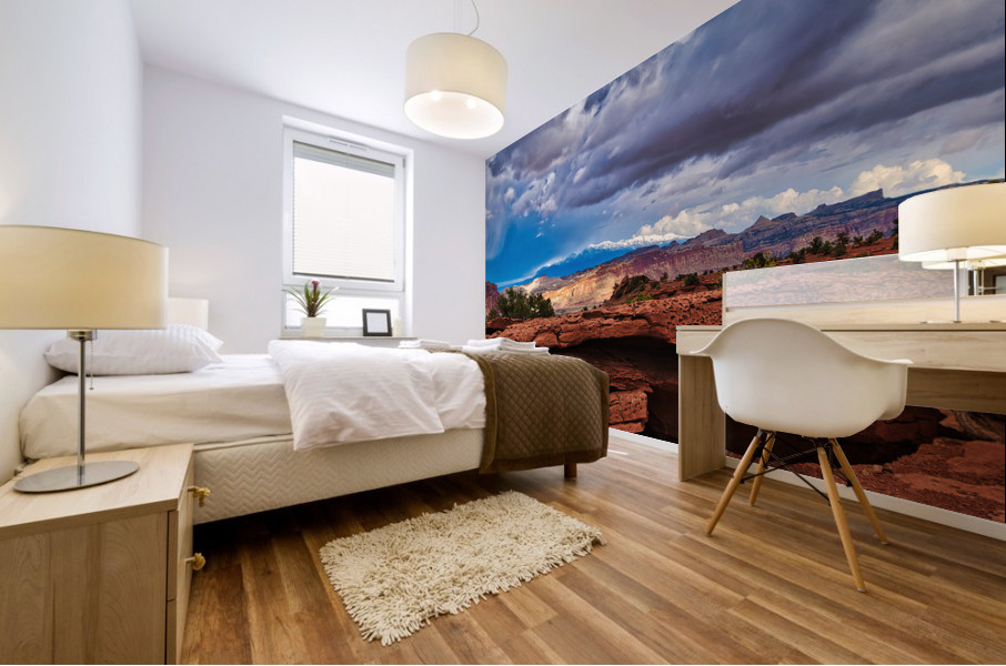 capreef51 Mural print