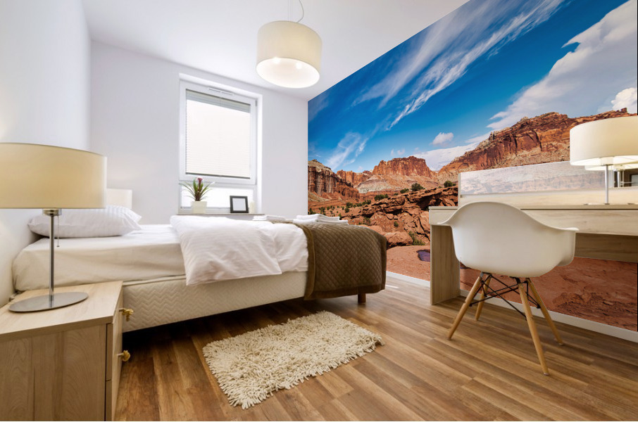 capreef35 Mural print