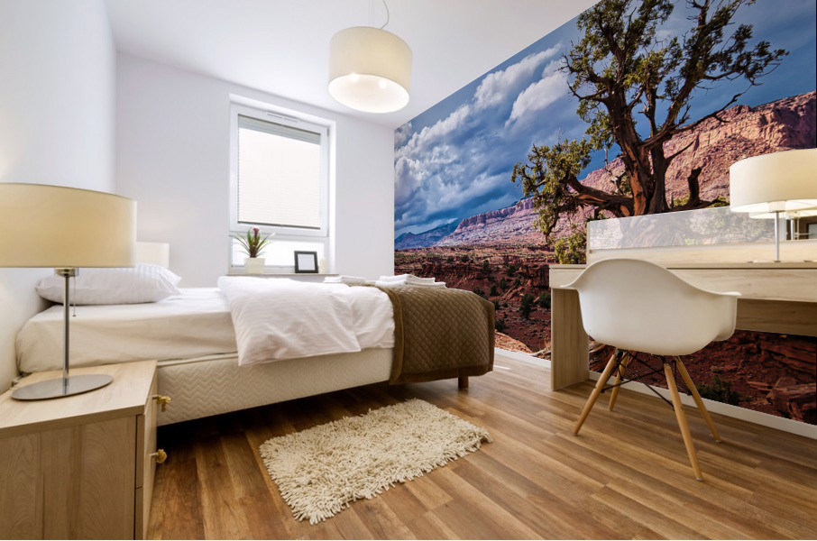 capreef43 Mural print