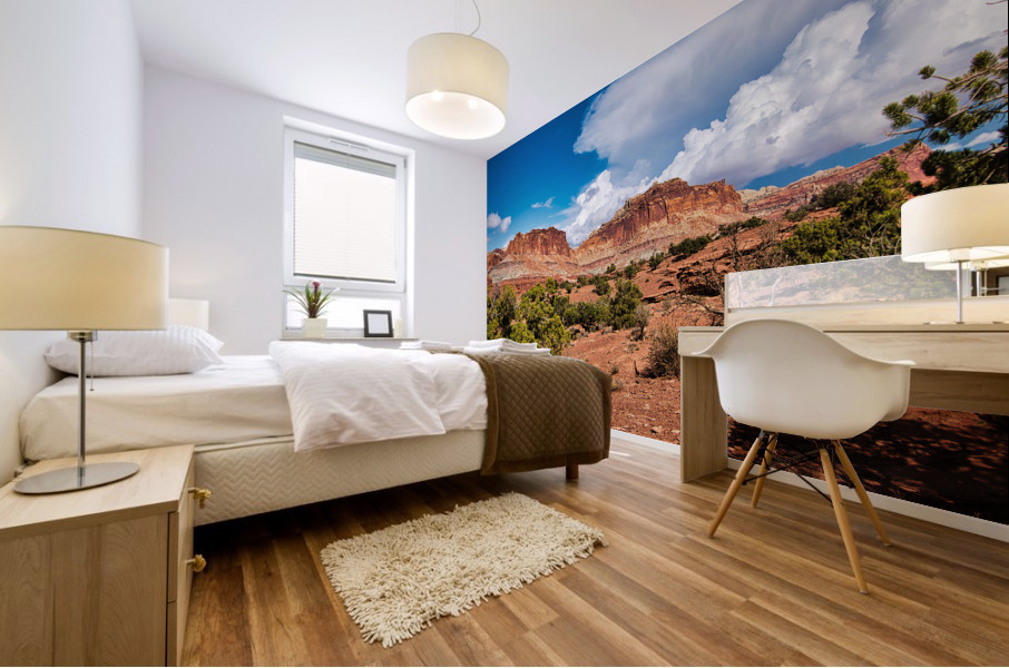 capreef47 Mural print