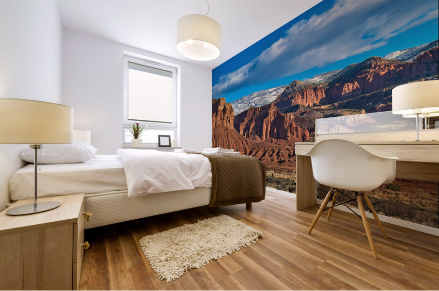 capreef54 Mural print