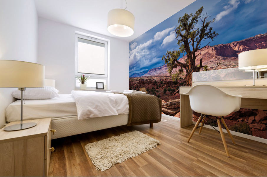capreef41 Mural print