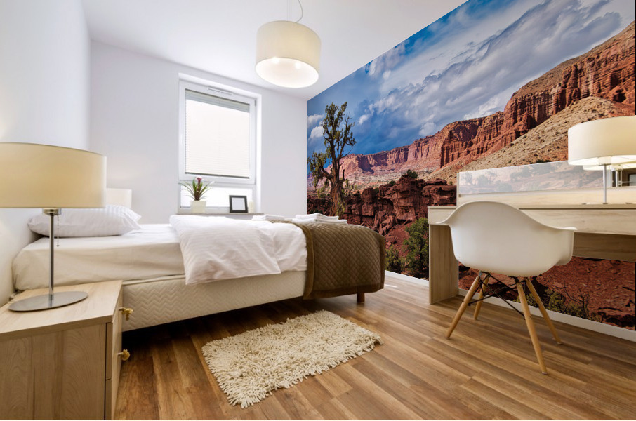 capreef42 Mural print