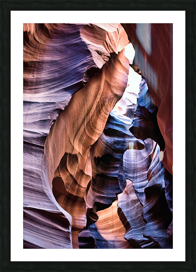 antelope08 Picture Frame print