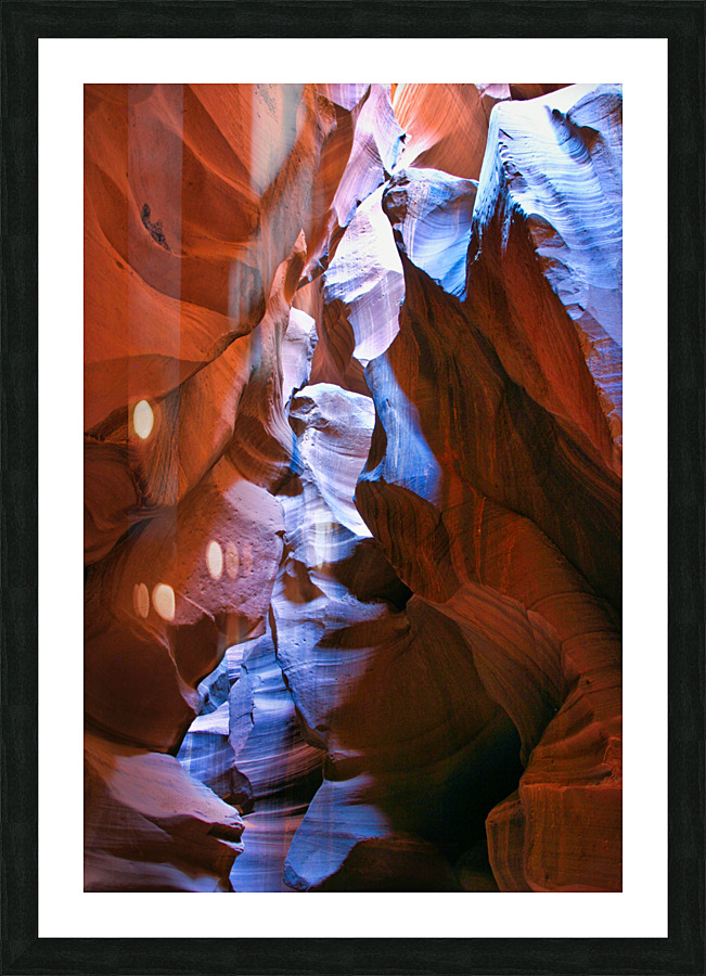 antelope17 Picture Frame print