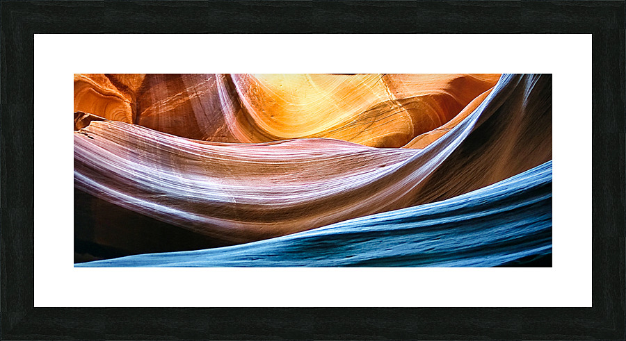 antelope14 Picture Frame print