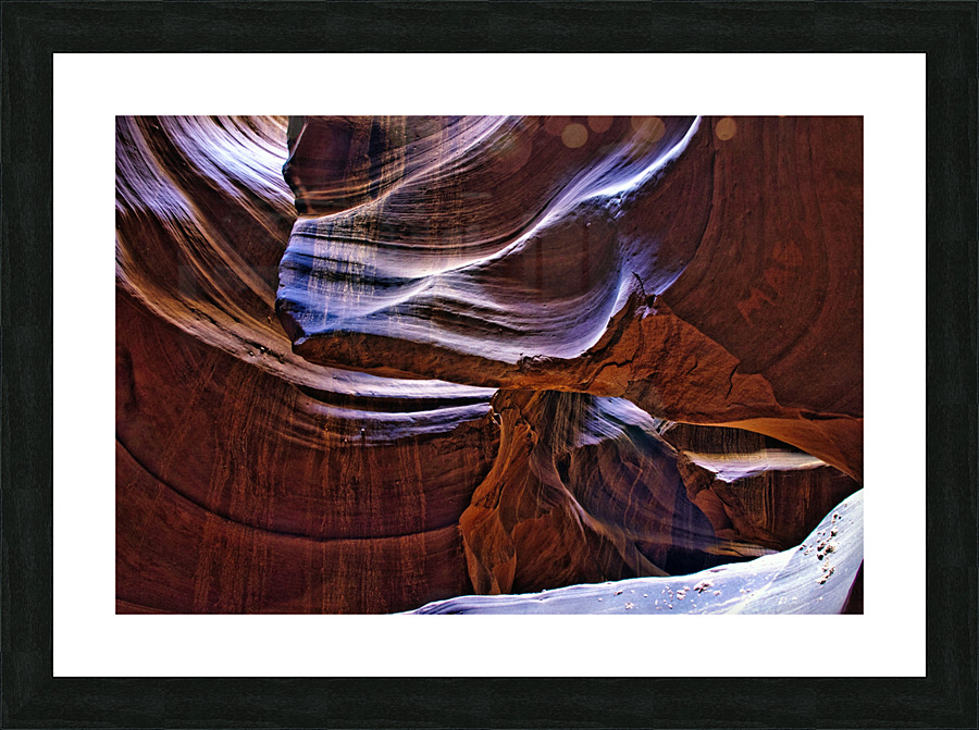 antelope01 Picture Frame print