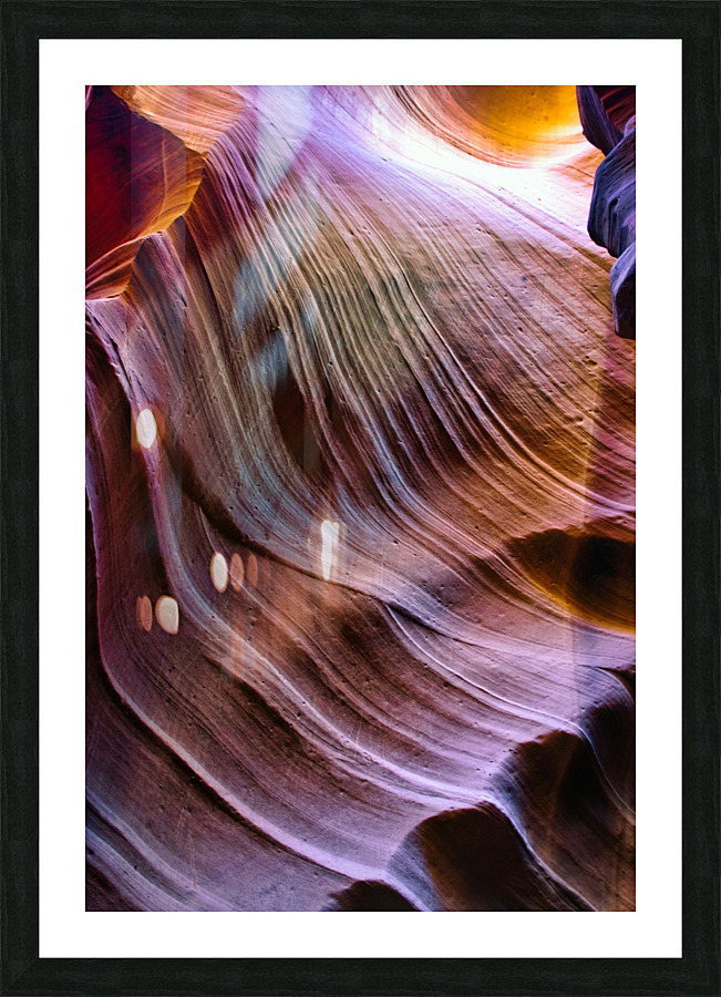 antelope09 Impression et Cadre photo