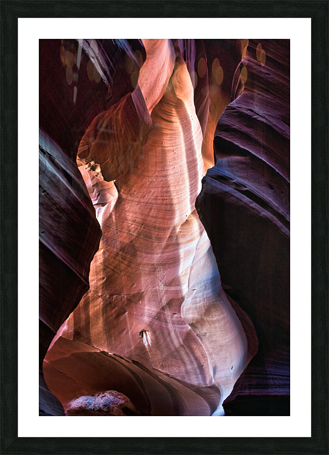 antelope24 Picture Frame print