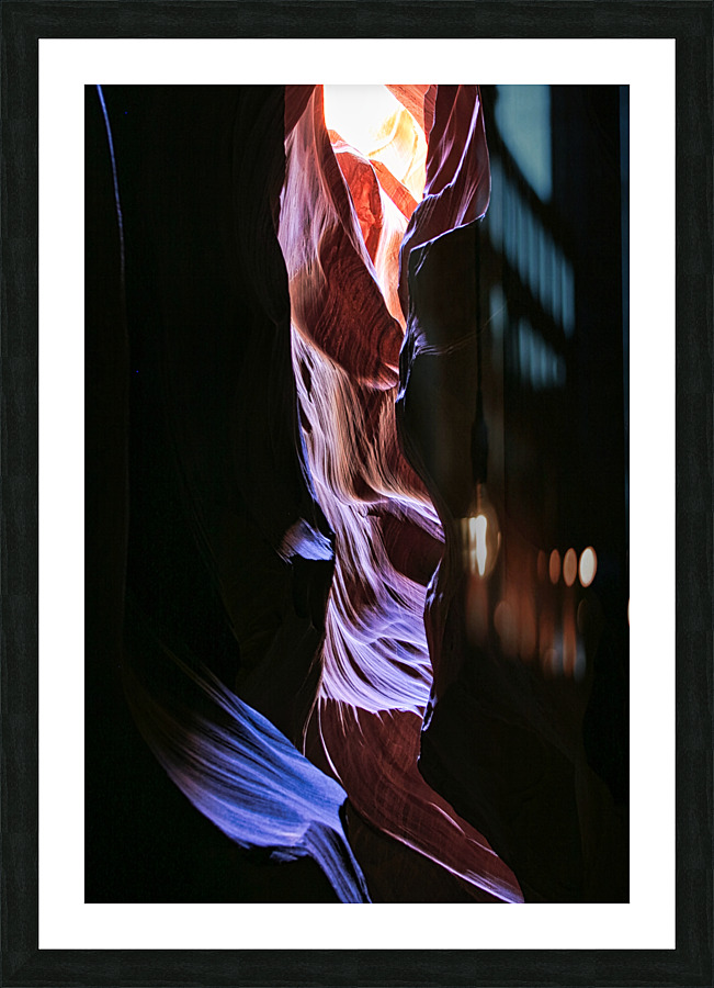 antelope11 Picture Frame print