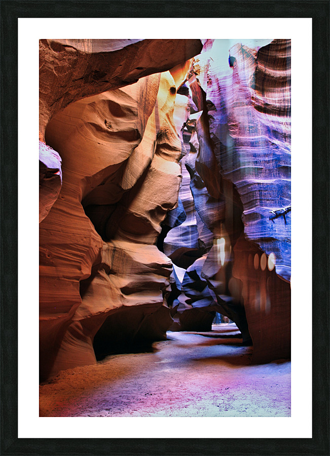 antelope19 Picture Frame print