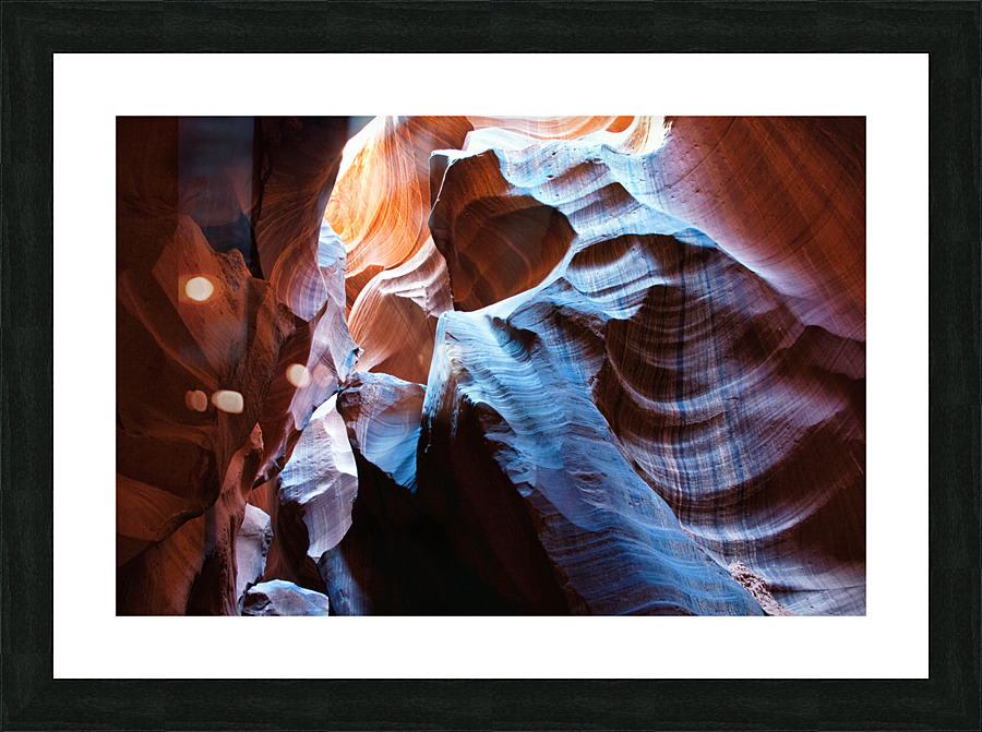 antelope02 Picture Frame print