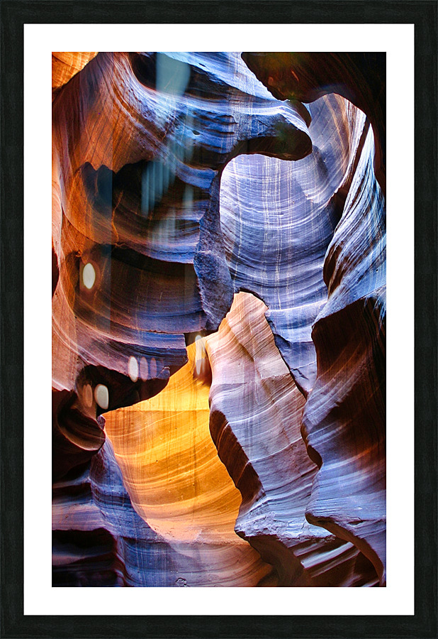 antelope23 Picture Frame print