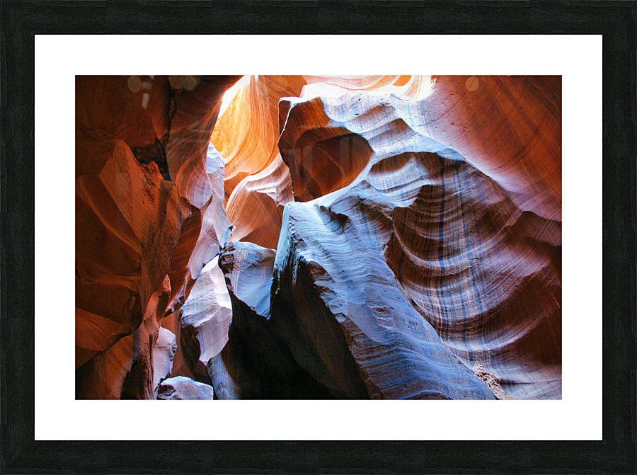 antelope16 Picture Frame print