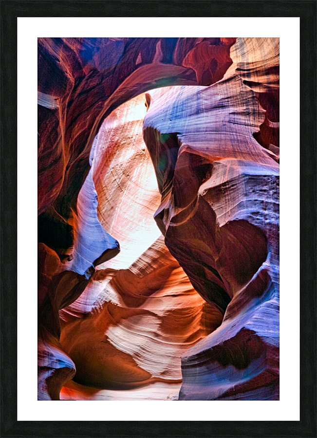 antelope20 Picture Frame print