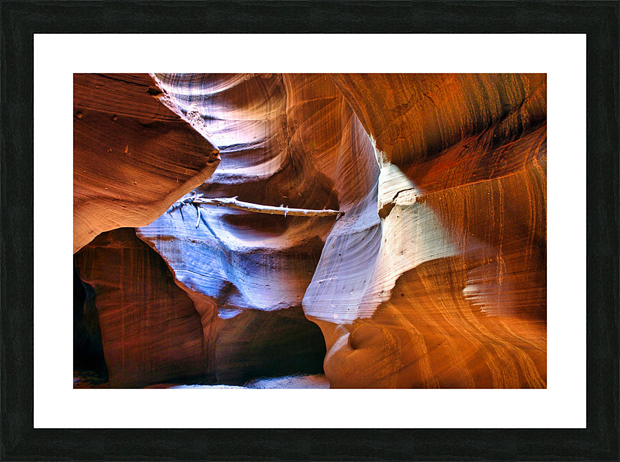 antelope18 Impression et Cadre photo