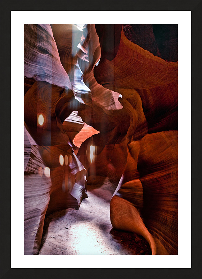 antelope10 Picture Frame print