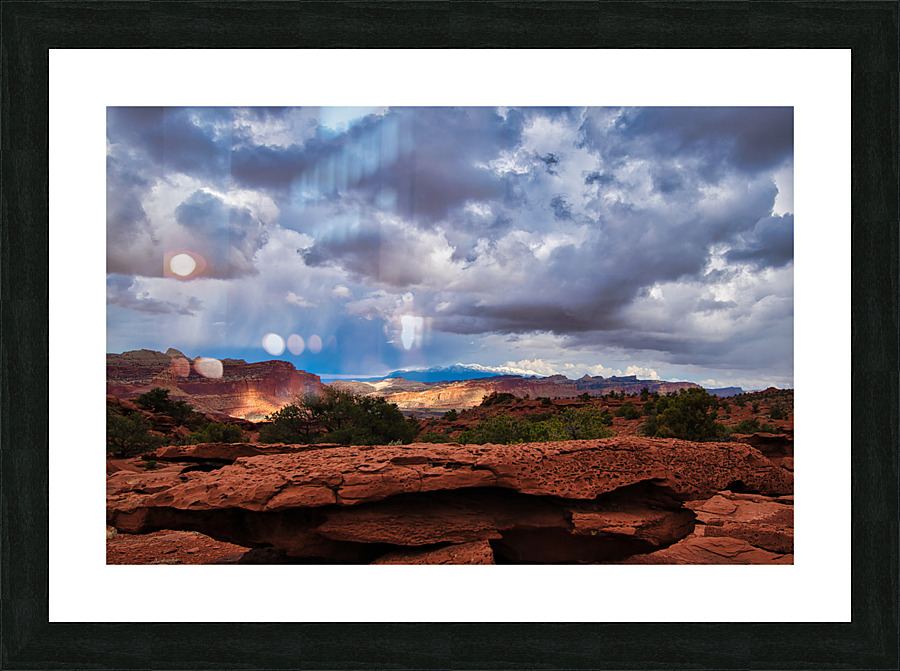 capreef52 Picture Frame print