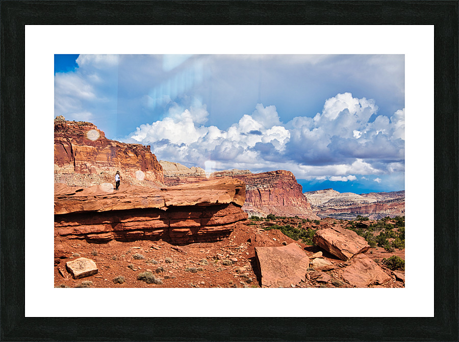 capreef38 Picture Frame print