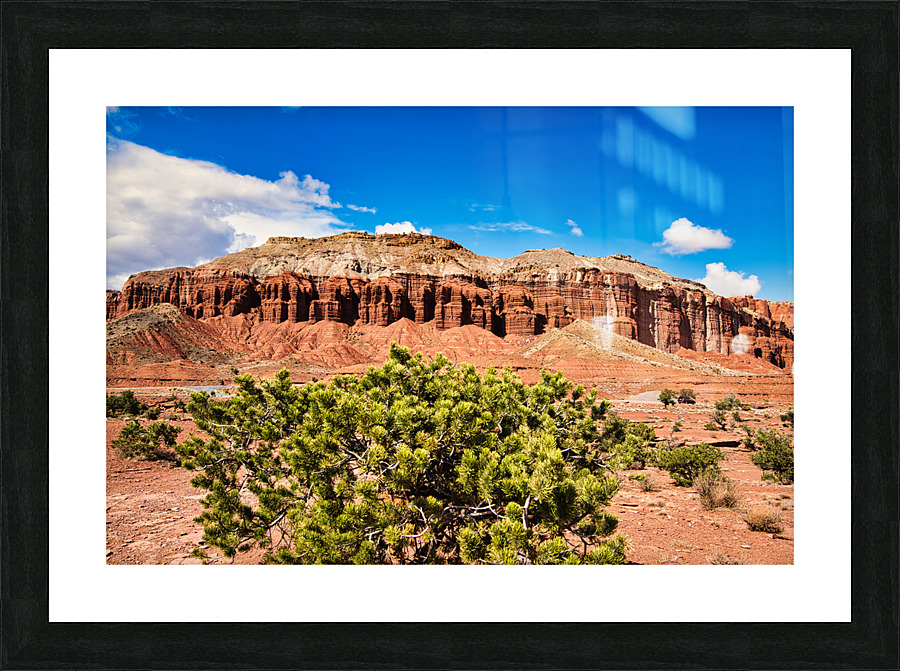 capreef46 Impression et Cadre photo