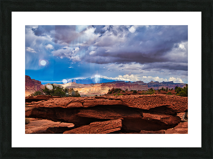 capreef51 Picture Frame print