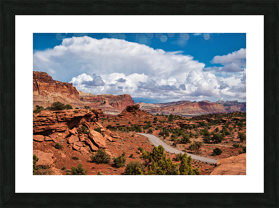 capreef31 Picture Frame print