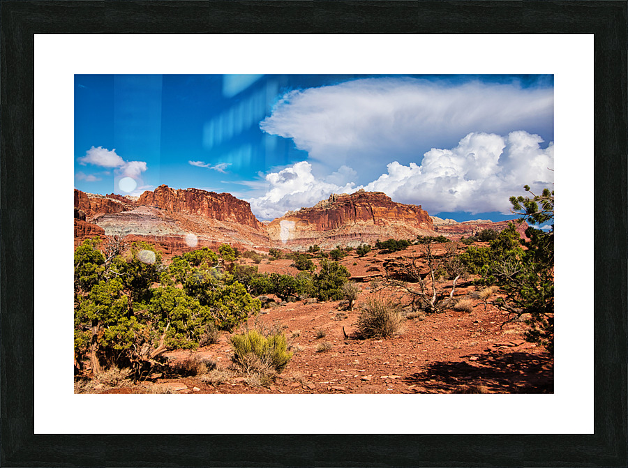 capreef47 Picture Frame print