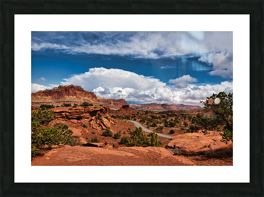 capreef32 Picture Frame print