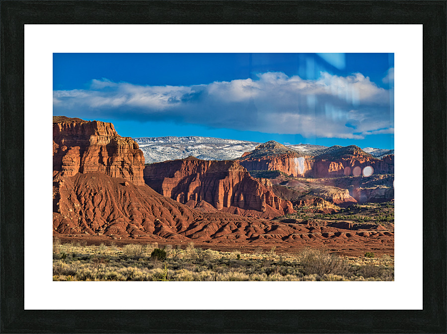 capreef54 Picture Frame print